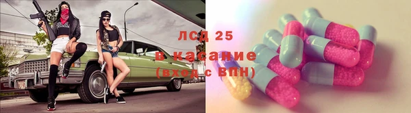 стафф Богородицк
