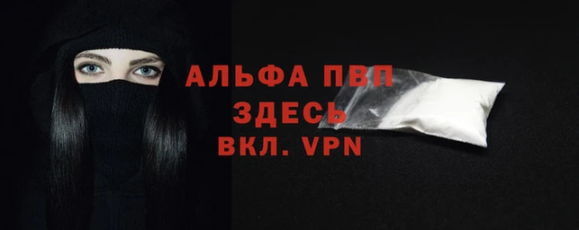 стафф Богородицк