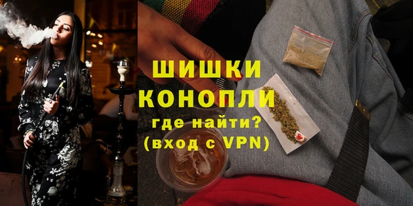 стафф Богородицк