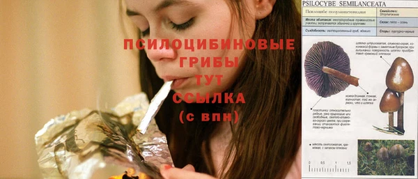 стафф Богородицк