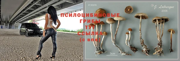 mdpv Богданович