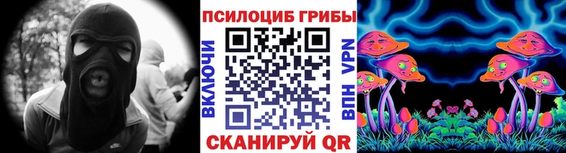 Псилоцибиновые грибы Psilocybe  Ясный 